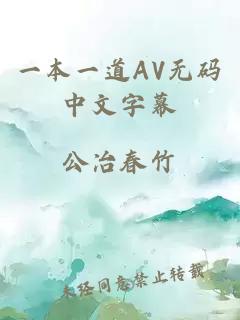 一本一道AV无码中文字幕